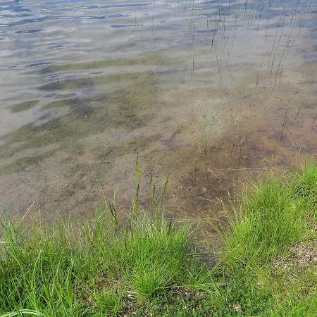 Karpalo By Interhome Сasa de vacaciones Herttua