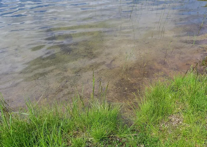 度假居 Karpalo By Interhome Herttua